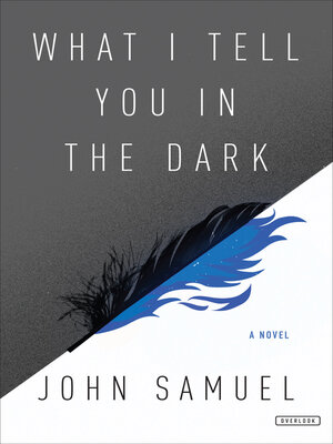 cover image of What I Tell You in the Dark